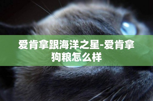 愛肯拿跟海洋之星-愛肯拿狗糧怎么樣