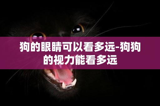 狗的眼睛可以看多遠-狗狗的視力能看多遠