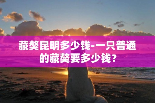 藏獒昆明多少錢-一只普通的藏獒要多少錢？