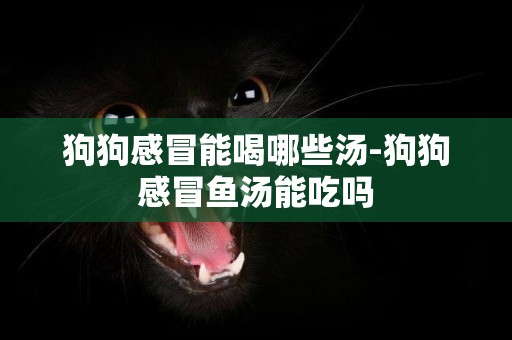 狗狗感冒能喝哪些湯-狗狗感冒魚湯能吃嗎
