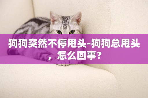 狗狗突然不停甩頭-狗狗總甩頭，怎么回事？