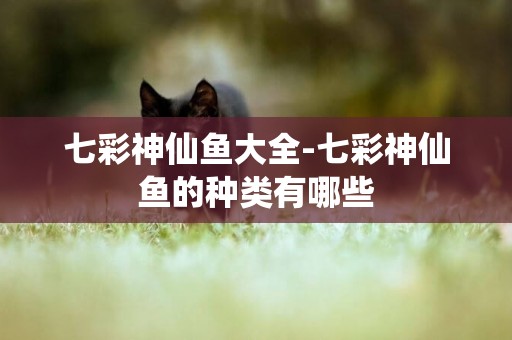 七彩神仙魚大全-七彩神仙魚的種類有哪些