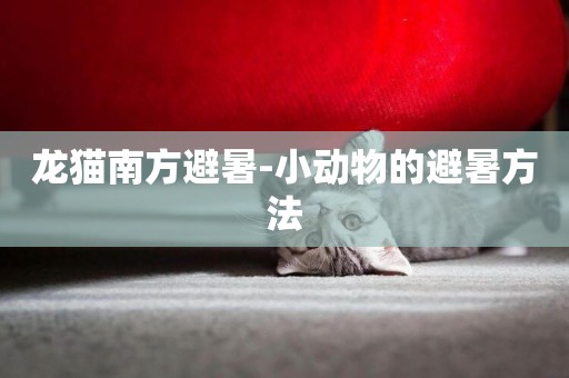 龍貓南方避暑-小動物的避暑方法