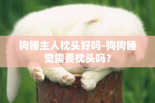 狗睡主人枕頭好嗎-狗狗睡覺需要枕頭嗎？