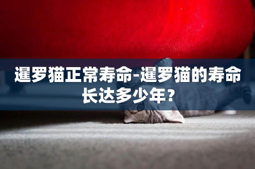 暹羅貓正常壽命-暹羅貓的壽命長達多少年？