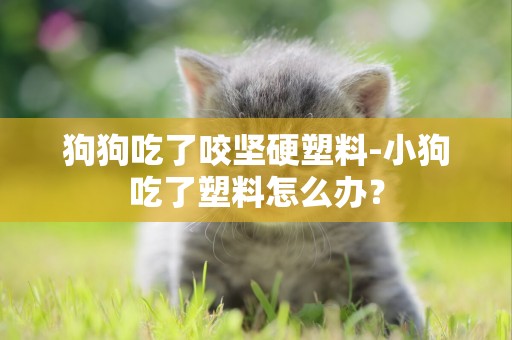 狗狗吃了咬堅硬塑料-小狗吃了塑料怎么辦？