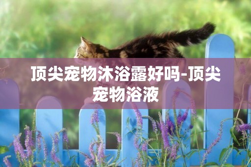 頂尖寵物沐浴露好嗎-頂尖寵物浴液