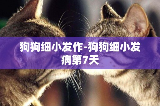 狗狗細小發作-狗狗細小發病第7天