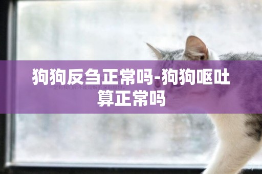 狗狗反芻正常嗎-狗狗嘔吐算正常嗎