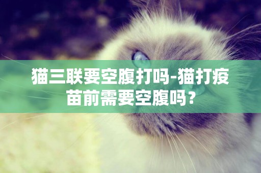 貓三聯要空腹打嗎-貓打疫苗前需要空腹嗎？