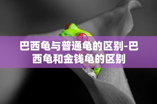 巴西龜與普通龜的區別-巴西龜和金錢龜的區別