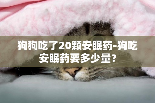 狗狗吃了20顆安眠藥-狗吃安眠藥要多少量？