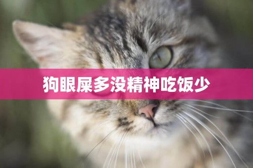狗眼屎多沒精神吃飯少
