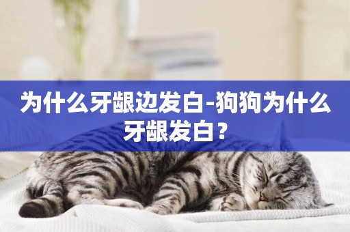 為什么牙齦邊發白-狗狗為什么牙齦發白？