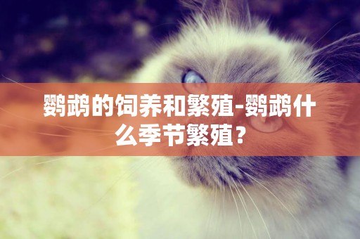 鸚鵡的飼養和繁殖-鸚鵡什么季節繁殖？