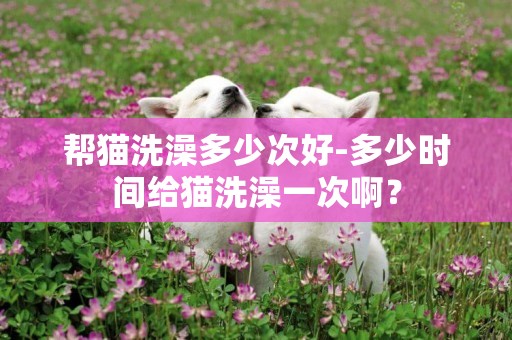 幫貓洗澡多少次好-多少時間給貓洗澡一次啊？