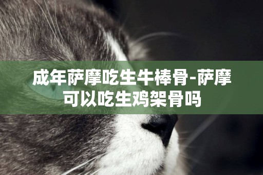 成年薩摩吃生牛棒骨-薩摩可以吃生雞架骨嗎