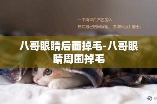 八哥眼睛后面掉毛-八哥眼睛周圍掉毛