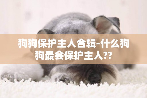 狗狗保護主人合輯-什么狗狗最會保護主人??