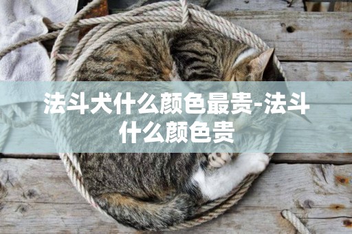 法斗犬什么顏色最貴-法斗什么顏色貴