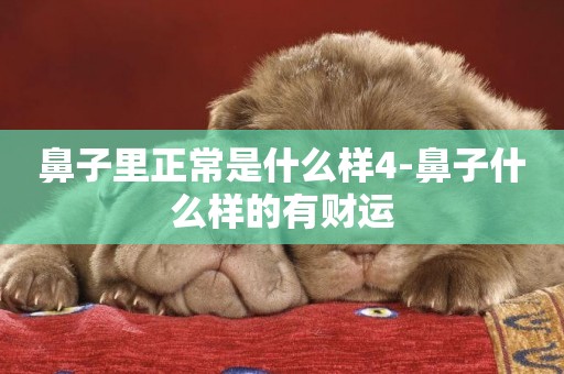 鼻子里正常是什么樣4-鼻子什么樣的有財運