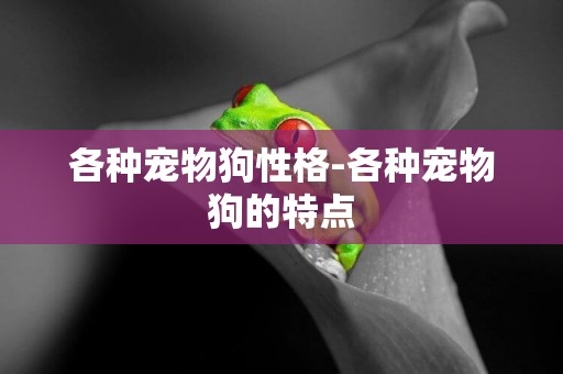 各種寵物狗性格-各種寵物狗的特點