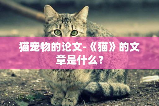 貓寵物的論文-《貓》的文章是什么？