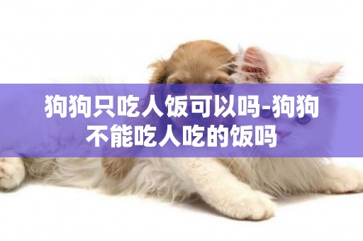 狗狗只吃人飯可以嗎-狗狗不能吃人吃的飯嗎