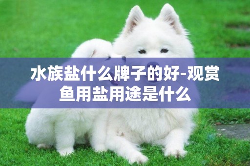 水族鹽什么牌子的好-觀賞魚用鹽用途是什么