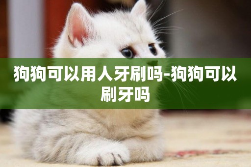 狗狗可以用人牙刷嗎-狗狗可以刷牙嗎