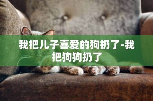 我把兒子喜愛的狗扔了-我把狗狗扔了