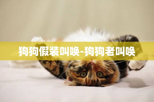 狗狗假裝叫喚-狗狗老叫喚