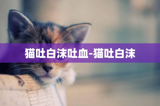 貓吐白沫吐血-貓吐白沫