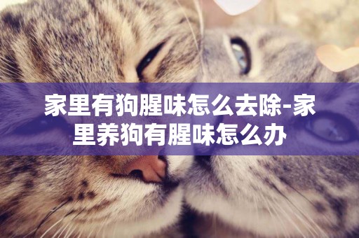 家里有狗腥味怎么去除-家里養狗有腥味怎么辦