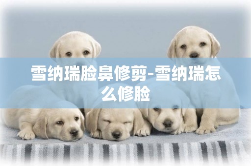 雪納瑞臉鼻修剪-雪納瑞怎么修臉