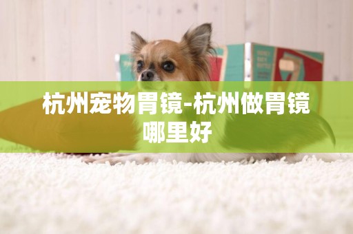 杭州寵物胃鏡-杭州做胃鏡哪里好