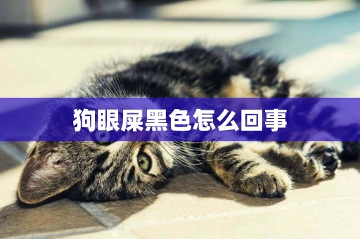 狗眼屎黑色怎么回事