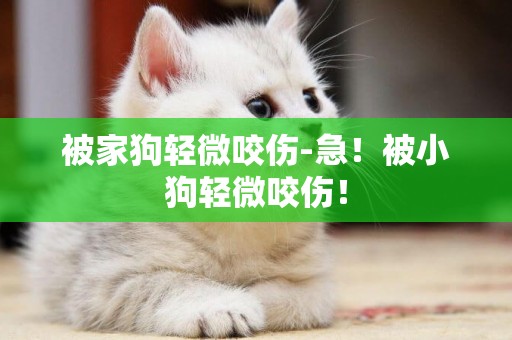 被家狗輕微咬傷-急！被小狗輕微咬傷！