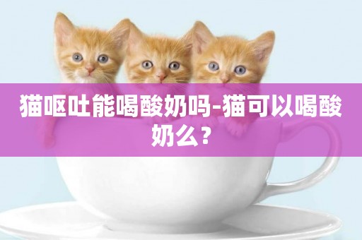 貓嘔吐能喝酸奶嗎-貓可以喝酸奶么？