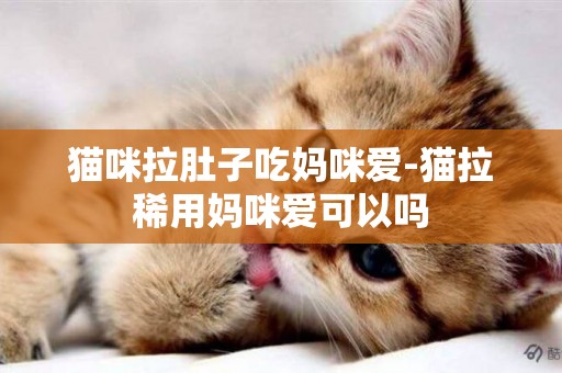 貓咪拉肚子吃媽咪愛-貓拉稀用媽咪愛可以嗎