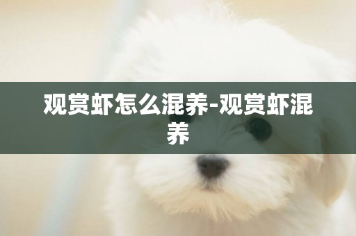 觀賞蝦怎么混養-觀賞蝦混養