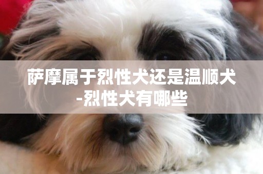 薩摩屬于烈性犬還是溫順犬-烈性犬有哪些