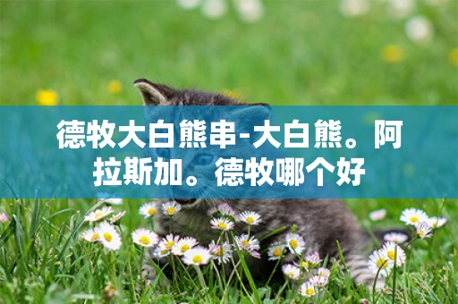 德牧大白熊串-大白熊。阿拉斯加。德牧哪個好