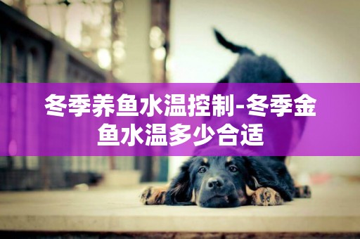 冬季養魚水溫控制-冬季金魚水溫多少合適
