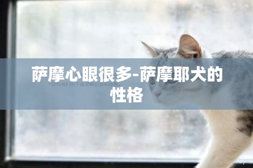薩摩心眼很多-薩摩耶犬的性格