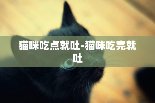 貓咪吃點就吐-貓咪吃完就吐