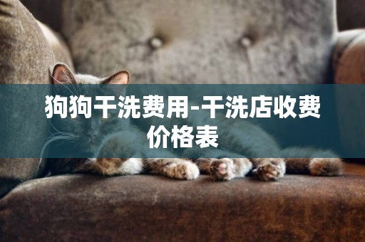 狗狗干洗費用-干洗店收費價格表