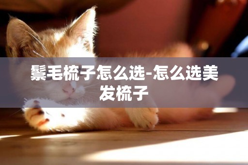 鬃毛梳子怎么選-怎么選美發梳子
