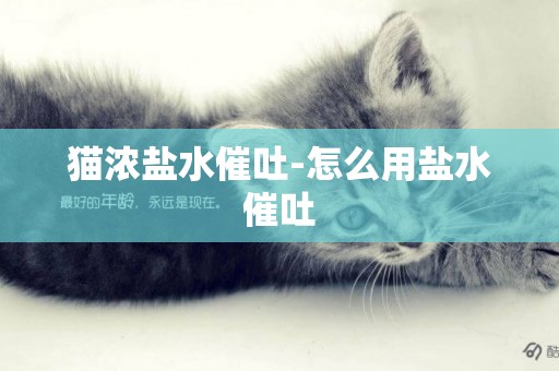 貓濃鹽水催吐-怎么用鹽水催吐