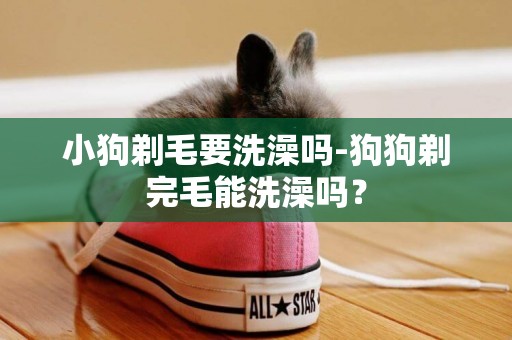 小狗剃毛要洗澡嗎-狗狗剃完毛能洗澡嗎？